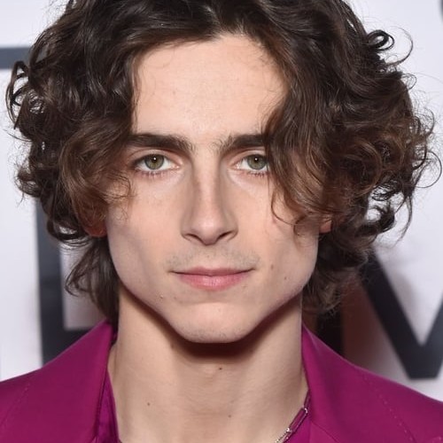 Timoth Chalamet